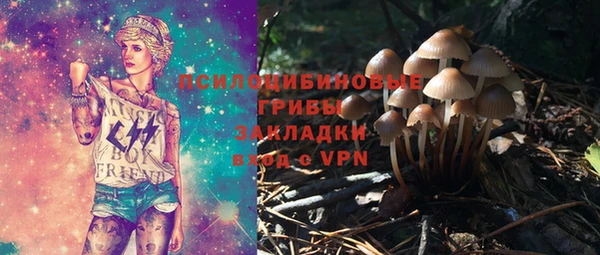 apvp Аркадак